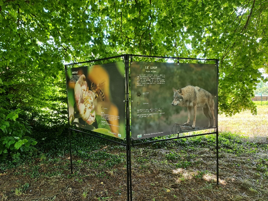 exposition ferme argentin