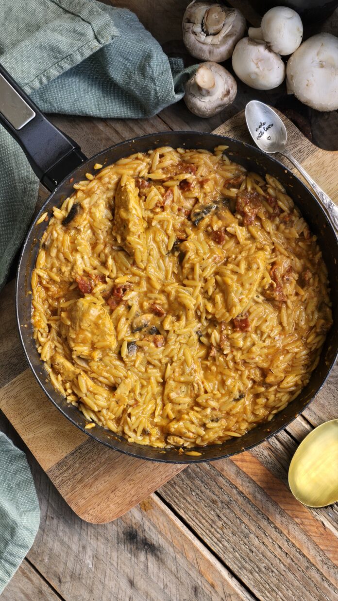 Orzo crémeux au poulet et aux épices