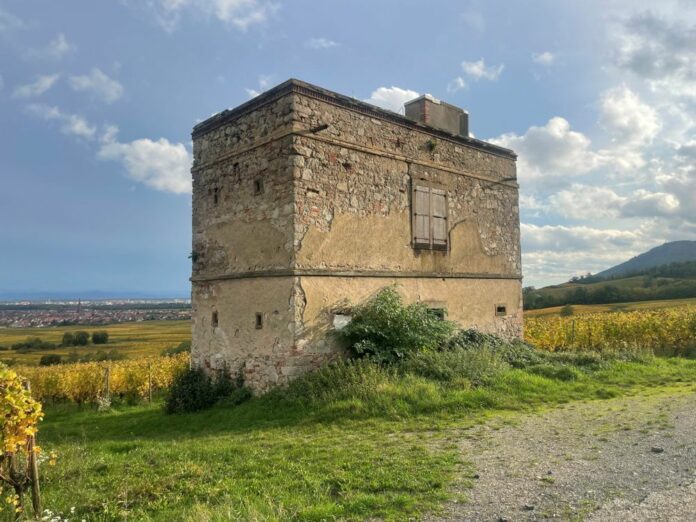 Le pavillon des vignes, à Scherwiller