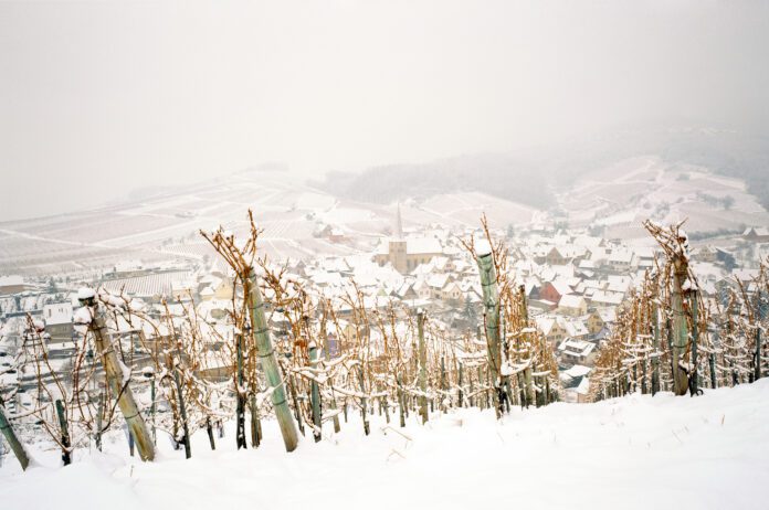 Hiver en Alsace