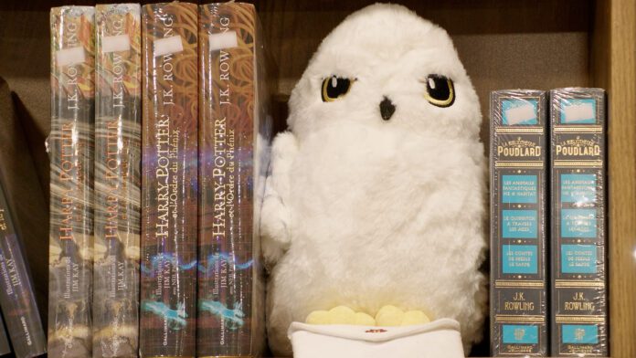 La chouette et des livres Harry Potter