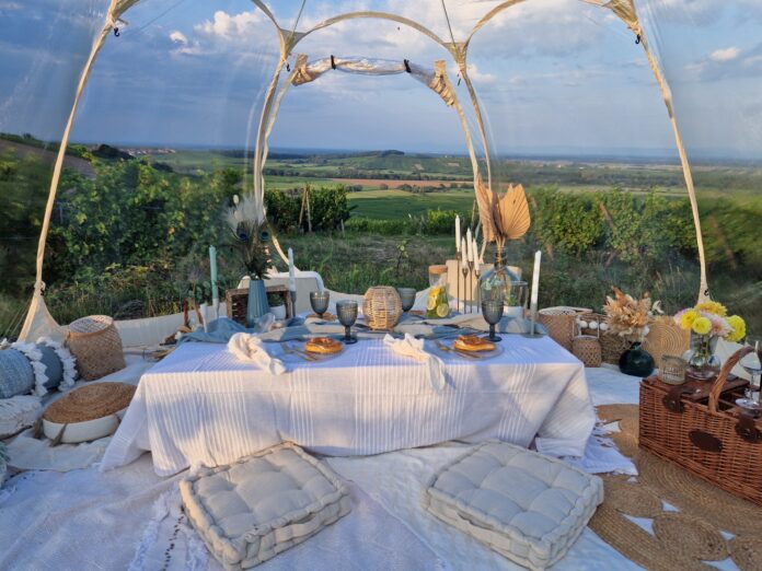 Les pique-niques dans des bulles de Aude Gulka