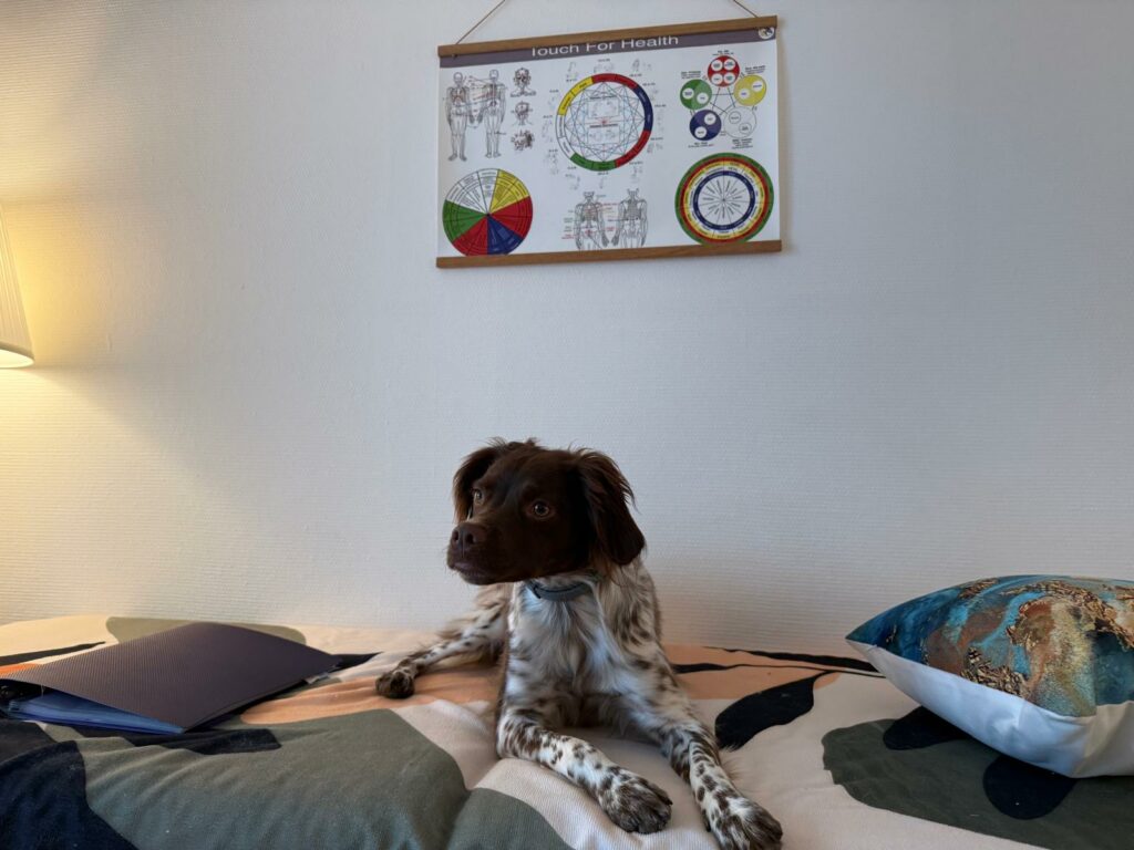 Brune le chien de Véronique Uhl