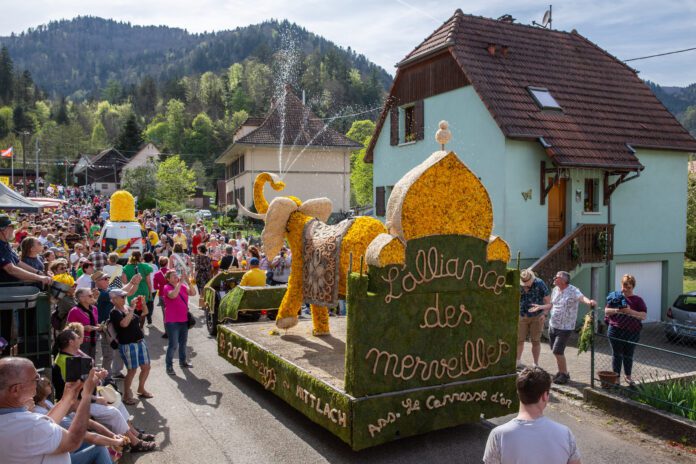 La Fête des Jonquilles à Mittlach