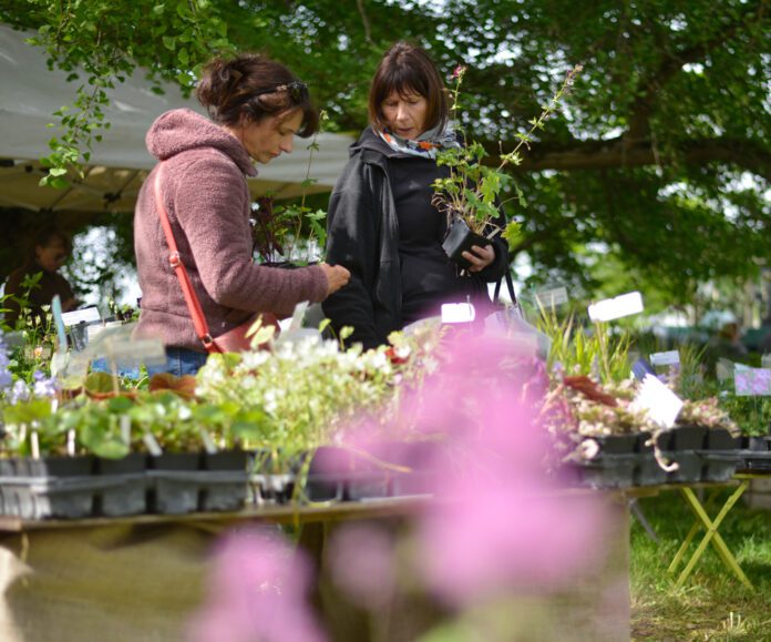 Des visiteurs à la Fête des plantes de Schoppenwihr