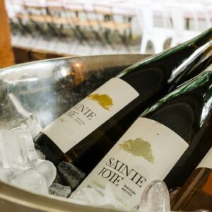 domaine-sainte-joie-vins-alsace-bergheim-meyer